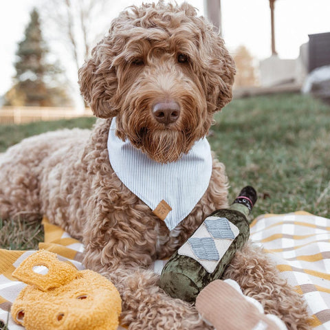 Lambwolf Collective Merlot – Snuffle + Squeaky