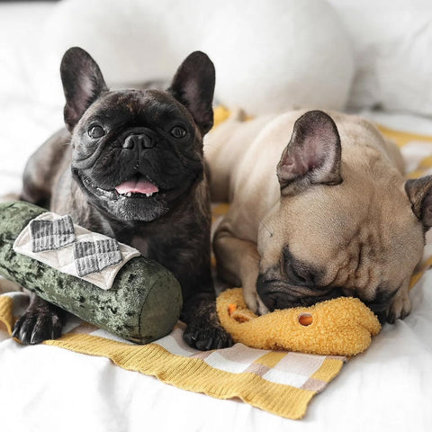 Lambwolf Collective Merlot – Snuffle + Squeaky