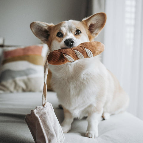 Lambwolf Collective Mini Baguette – Crinkle + Squeaky