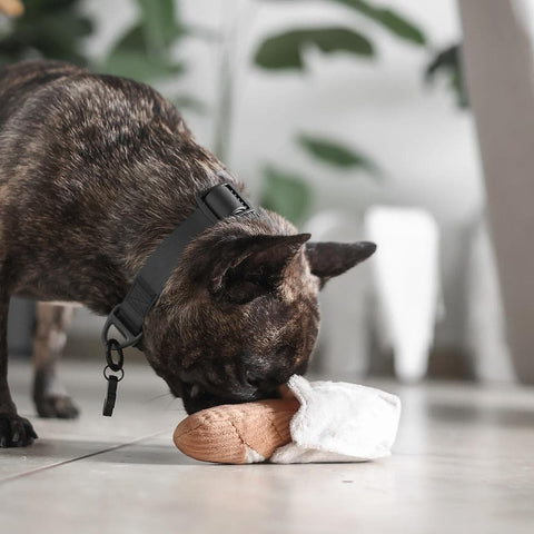 Lambwolf Collective Mini Baguette – Crinkle + Squeaky