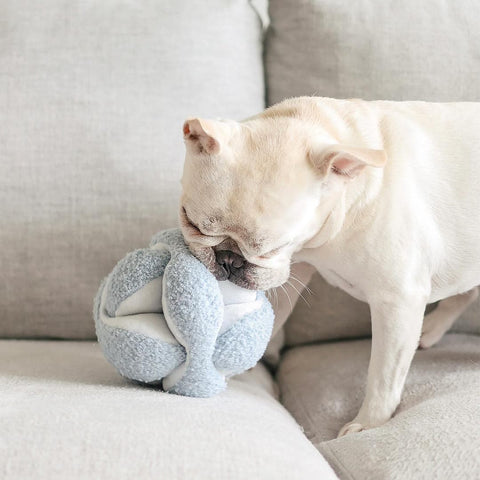 Lambwolf Collective MONTI Crinkly + Squeaky Snuffle Ball – Blue