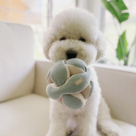 Lambwolf Collective MONTI Crinkly + Squeaky Snuffle Ball – Mint