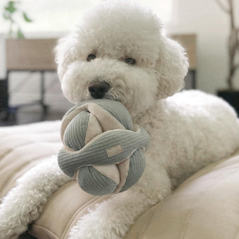 Lambwolf Collective MONTI Crinkly + Squeaky Snuffle Ball – Mint