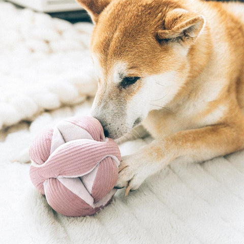 Lambwolf Collective MONTI Crinkly + Squeaky Snuffle Ball – Blush Pink
