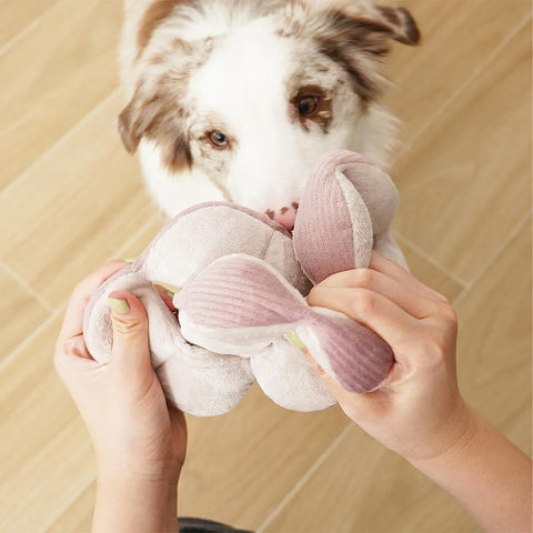 Lambwolf Collective MONTI Crinkly + Squeaky Snuffle Ball – Blush Pink