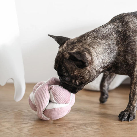 Lambwolf Collective MONTI Crinkly + Squeaky Snuffle Ball – Blush Pink