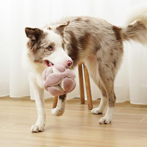 Lambwolf Collective MONTI Crinkly + Squeaky Snuffle Ball – Blush Pink