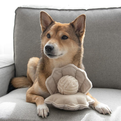 Lambwolf Collective Oyster POP – Bouncy + Squeaky + Crinkly