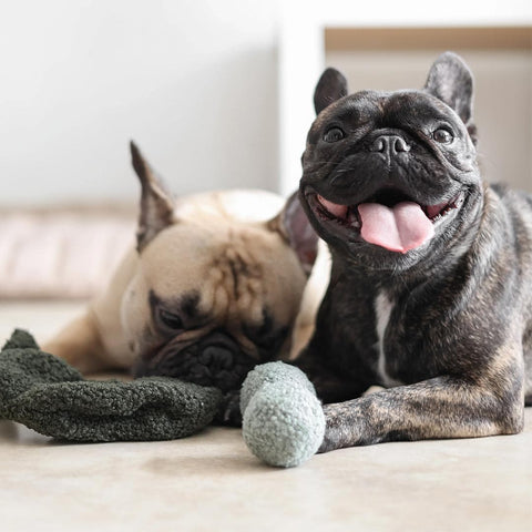 Lambwolf Collective Pea POP – Bouncy + Burrow