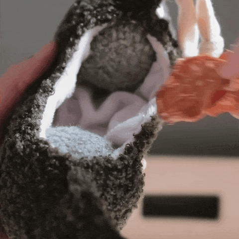 Lambwolf Collective Pea POP – Bouncy + Burrow