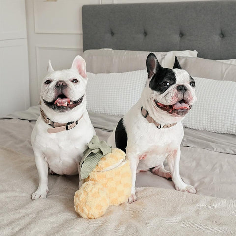 Lambwolf Collective Pineapple POP – Bouncy + Crinkly