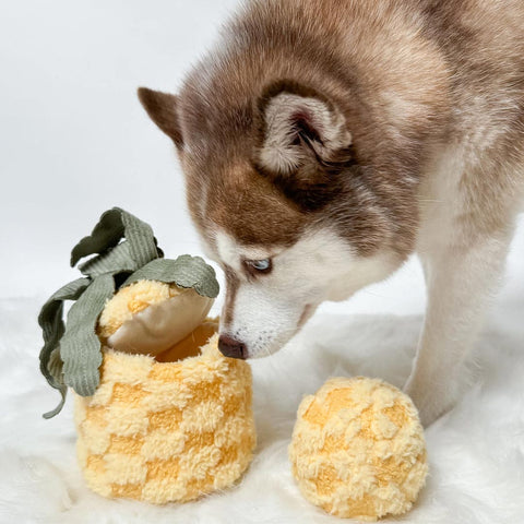 Lambwolf Collective Pineapple POP – Bouncy + Crinkly