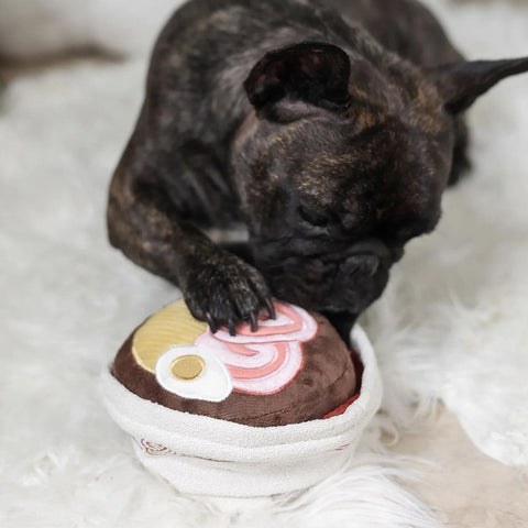 Lambwolf Collective Ramen Bowl – Snuffle + Squeaky