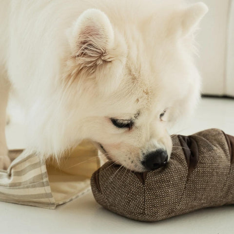 Lambwolf Collective Rye Bread – Snuffle + Squeaky