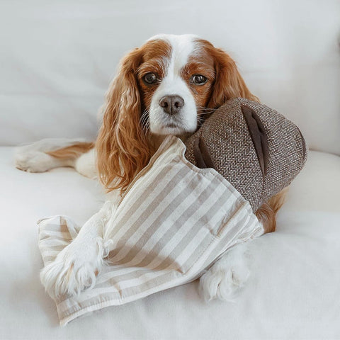 Lambwolf Collective Rye Bread – Snuffle + Squeaky