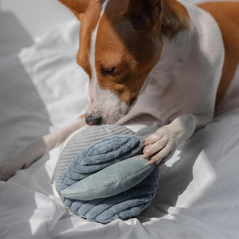 Lambwolf Collective TOTO Squeaky Snuffle Ball – Marine