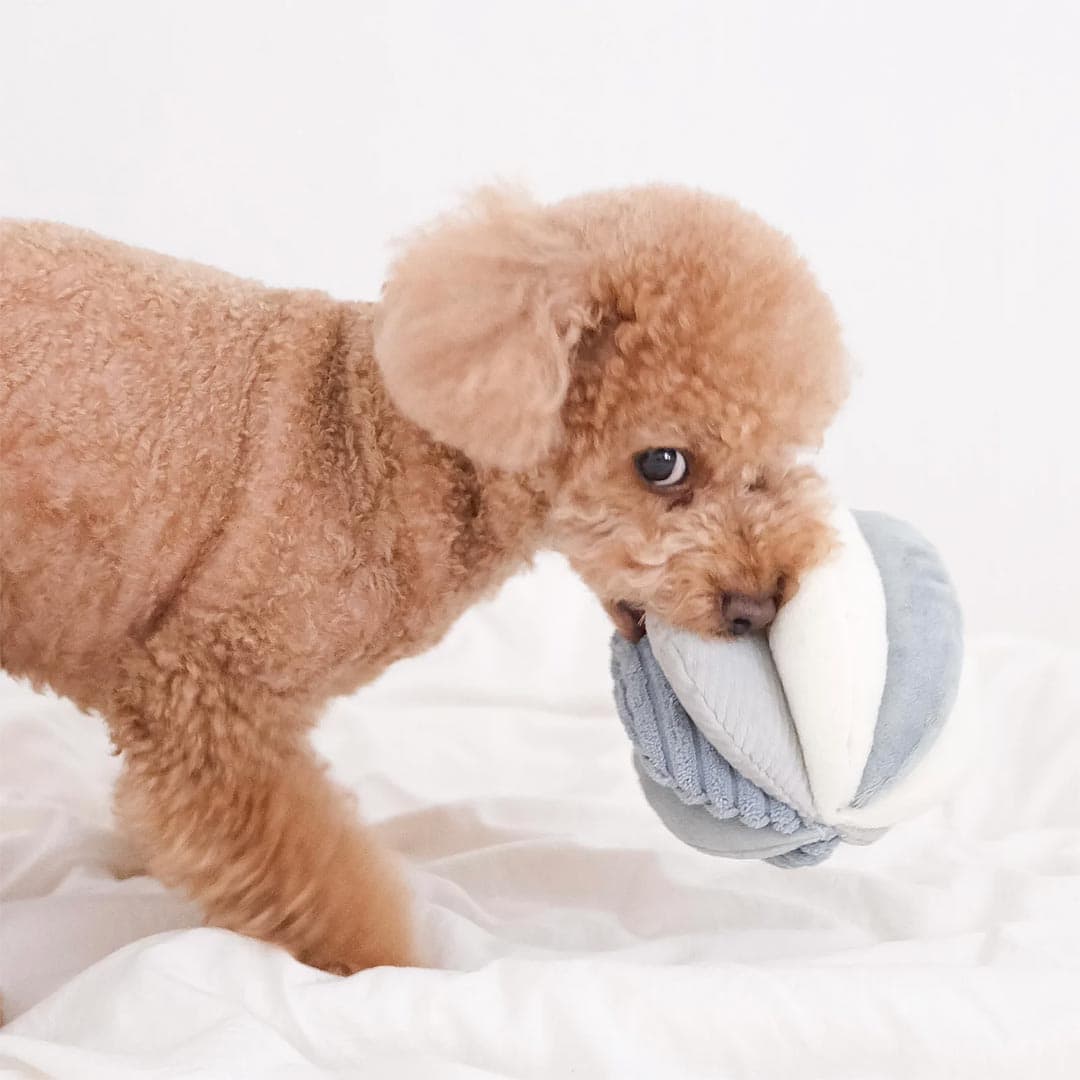 Lambwolf Collective TOTO Squeaky Snuffle Ball – Marine
