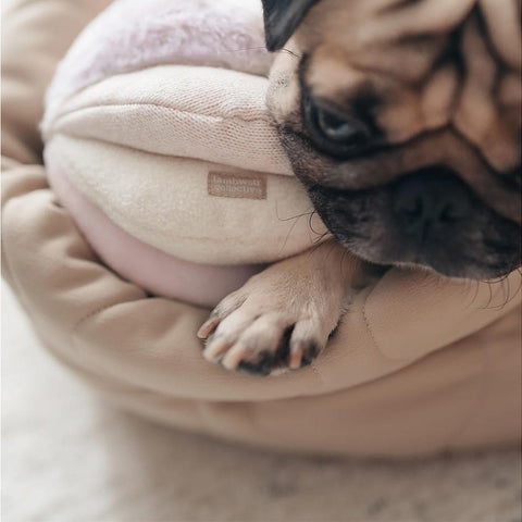 Lambwolf Collective TOTO Squeaky Snuffle Ball – Blush Pink