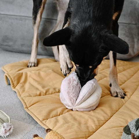 Lambwolf Collective TOTO Squeaky Snuffle Ball – Blush Pink