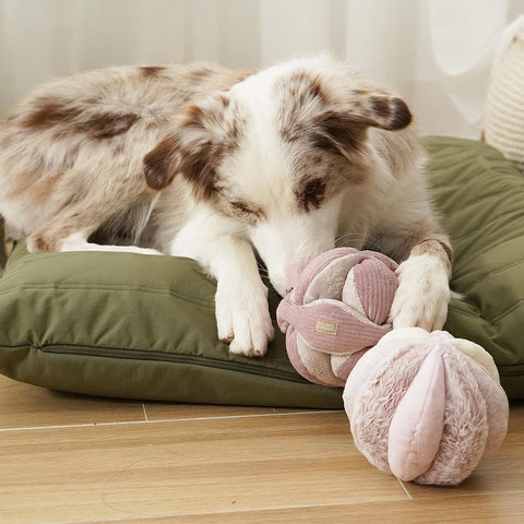 Lambwolf Collective TOTO Squeaky Snuffle Ball – Blush Pink