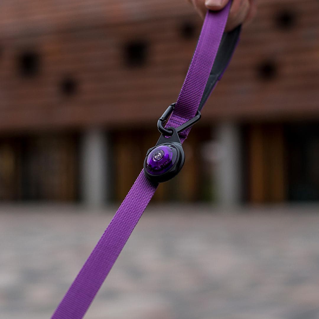 Orbiloc Carabiner