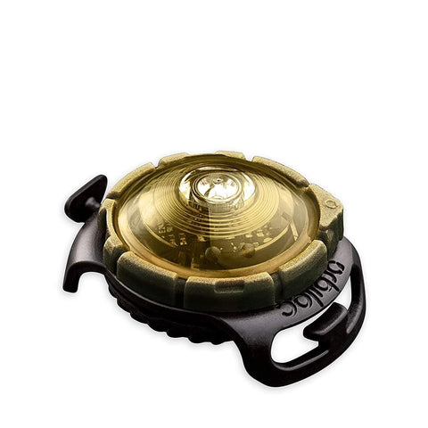 Orbiloc Dog Dual Light - LED-Veiligheidslampje - Goud - Puppy Village.nl