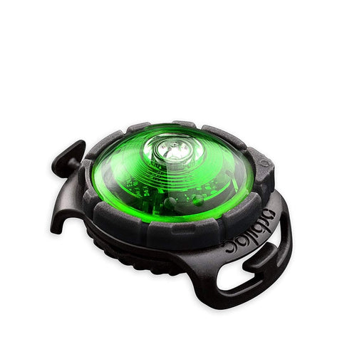 Orbiloc Dog Dual Light - LED-Veiligheidslampje - Groen - Puppy Village.nl