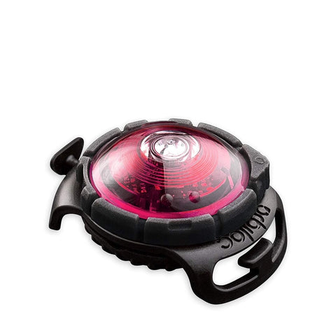 Orbiloc Dog Dual Light - LED-Veiligheidslampje - Roze - Puppy Village.nl