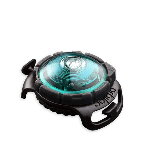 Orbiloc Dog Dual Light - LED-Veiligheidslampje - Turquoise - Puppy Village.nl