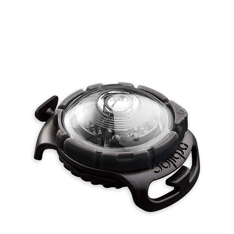Orbiloc Dog Dual Light - LED-Veiligheidslampje - Wit - Puppy Village.nl
