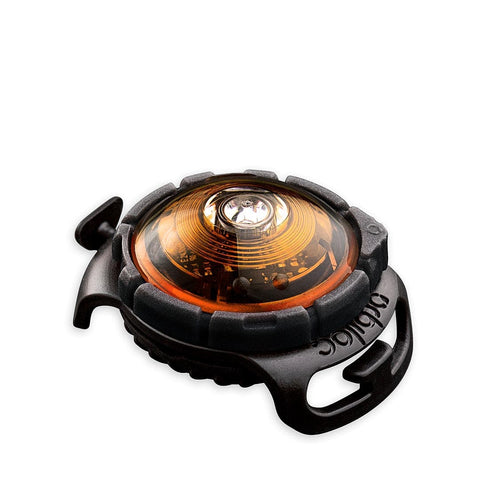 Orbiloc Dog Dual Amber – LED veiligheidslampje voor honden, waterdicht hondenlampje voor halsband of tuigje, maakt je hond zichtbaar tot 5 km in het donker