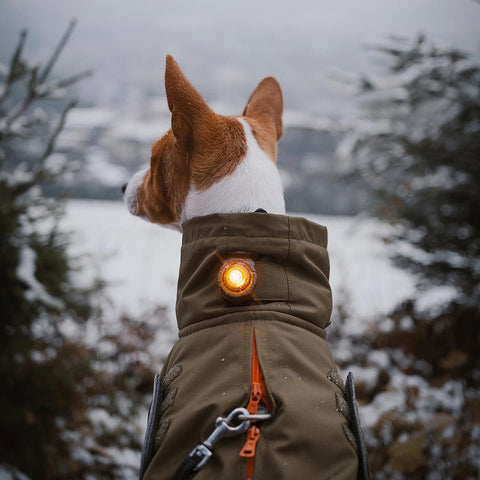 Orbiloc Dog Dual Amber – LED lampje bevestigd aan hondenjas, zorgt dat je hond goed zichtbaar is bij weinig licht en verkeer