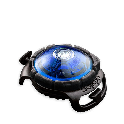 Orbiloc Dog Dual Blauw – LED veiligheidslampje voor honden, waterdicht hondenlampje voor halsband of tuigje, maakt je hond zichtbaar tot 5 km in het donker