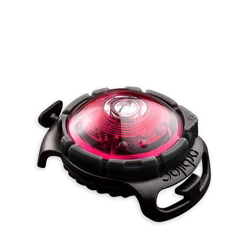 Orbiloc Dog Dual Roze – LED veiligheidslampje voor honden, waterdicht hondenlampje voor halsband of tuigje, maakt je hond zichtbaar tot 5 km in het donker