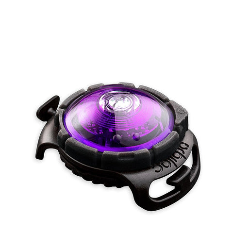 Orbiloc Dog Dual Paars – LED veiligheidslampje voor honden, waterdicht hondenlampje voor halsband of tuigje, maakt je hond zichtbaar tot 5 km in het donker