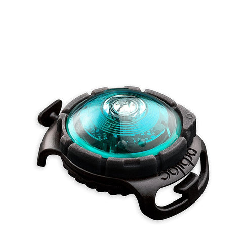 Orbiloc Dog Dual Turquoise – LED veiligheidslampje voor honden, waterdicht hondenlampje voor halsband of tuigje, maakt je hond zichtbaar tot 5 km in het donker