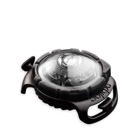 Orbiloc Dog Dual Wit – LED veiligheidslampje voor honden, waterdicht hondenlampje voor halsband of tuigje, maakt je hond zichtbaar tot 5 km in het donker