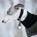 Orbiloc Dog Dual Wit – LED lampje bevestigd aan hondenhalsband, zorgt dat je hond goed zichtbaar is bij weinig licht en verkeer