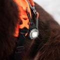 Orbiloc Dog Dual Wit – hondenlampje met helder LED-licht, ideaal voor avondwandeling of schemer, houdt je hond zichtbaar en veilig buiten
