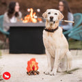 Pet P.L.A.Y. Camp Corbin - Cozy Campfire - Puppy Village.nl