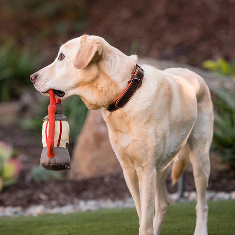 Pet P.L.A.Y. Camp Corbin - Pack Leader Lantern - Puppy Village.nl