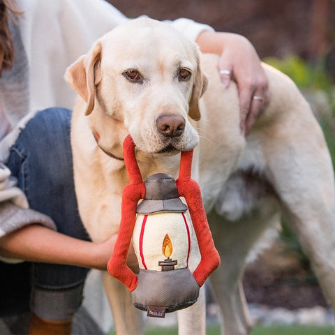 Pet P.L.A.Y. Camp Corbin - Pack Leader Lantern - Puppy Village.nl