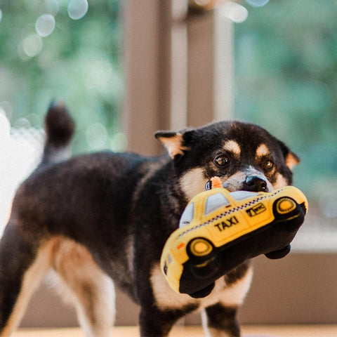 Pet P.L.A.Y. Canine Commute - New Yap City Taxi - Puppy Village.nl
