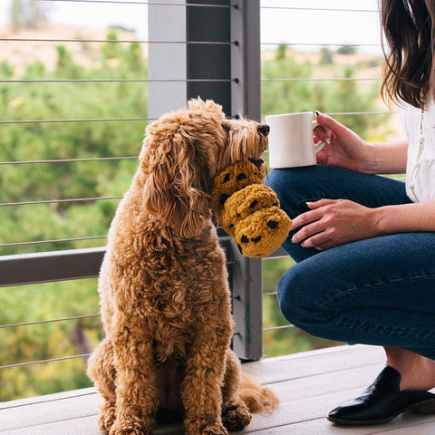 Pet P.L.A.Y. Pup Cup Café - Cookies n' Treats - Puppy Village.nl