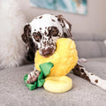 Pet P.L.A.Y. Tropical Paradise - Paws Up Pineapple - Puppy Village.nl