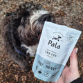 Hond samen met de verpakking van Pala Dog Treats 100% Beef Heart – natuurlijke hondensnacks van runderhart, luchtgedroogd, monoproteïne en hypoallergeen
