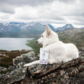 Hond samen met de verpakking van Pala Dog Treats 100% Lamb – natuurlijke hondensnacks van lam, luchtgedroogd, monoproteïne en hypoallergeen