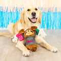 PetShop by Fringe Studio - Tacos & Tequila - Puppy Village.nl