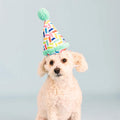 PetShop by Fringe Studio - Cheers For A Barkday - Puppy Village.nl