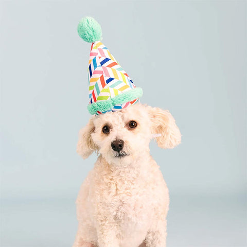 PetShop by Fringe Studio - Cheers For A Barkday - Puppy Village.nl